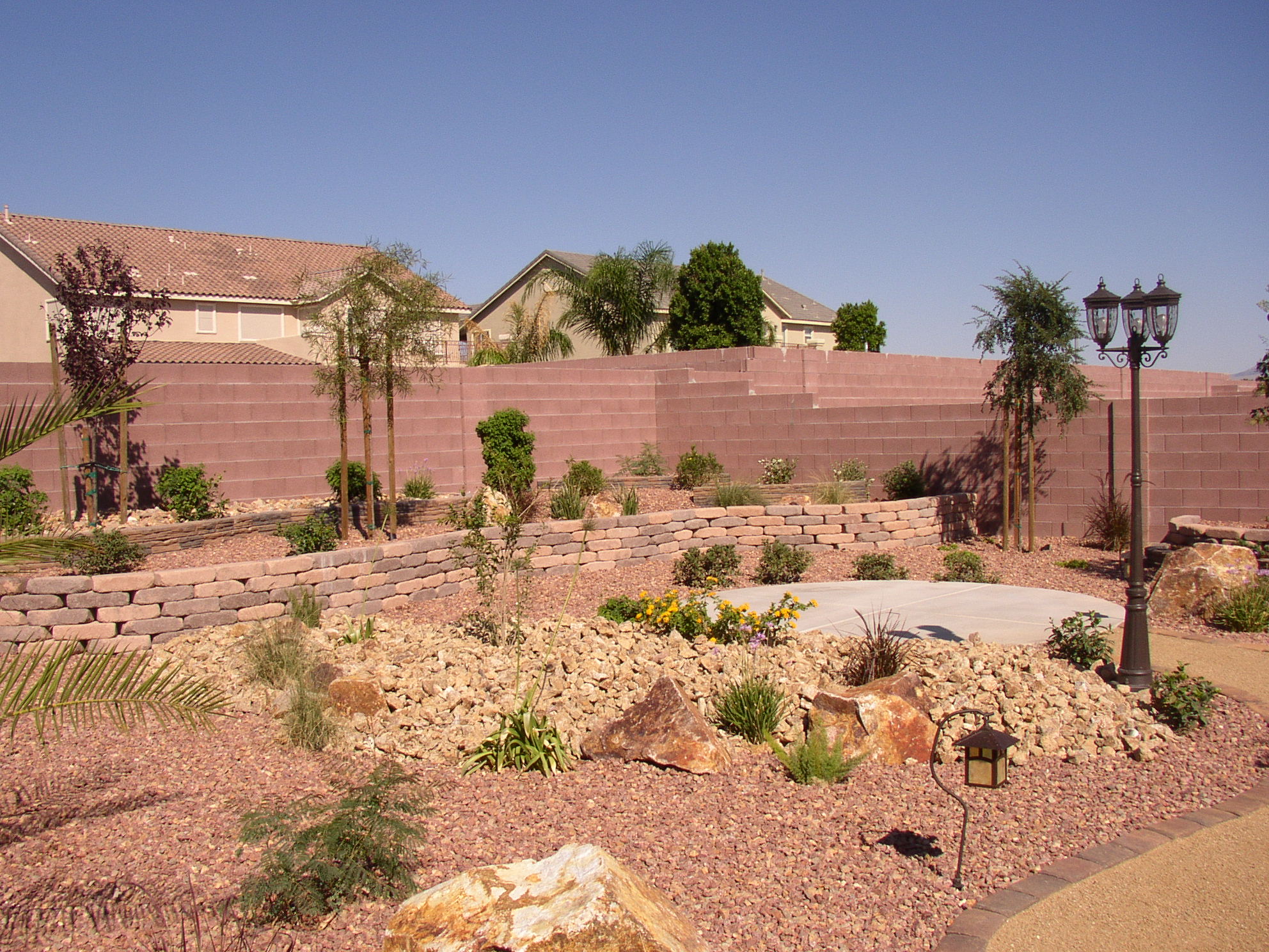 Modern xeriscape design