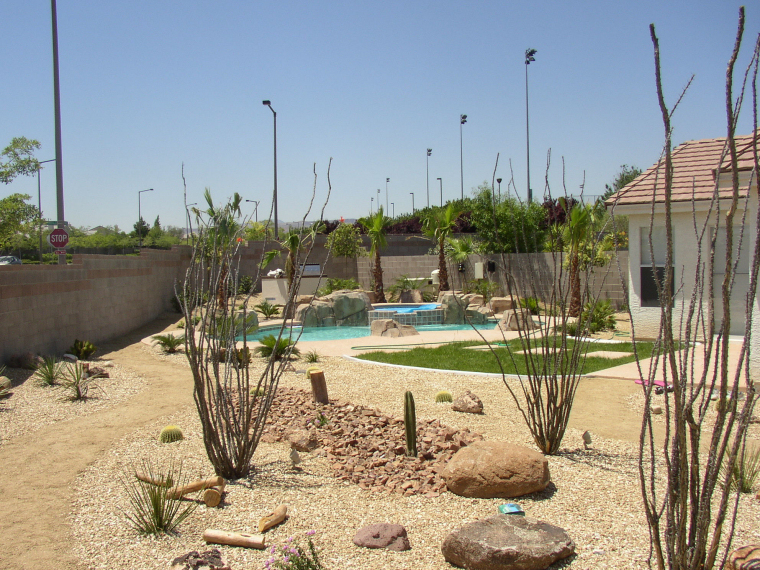 Beautiful desert landscape