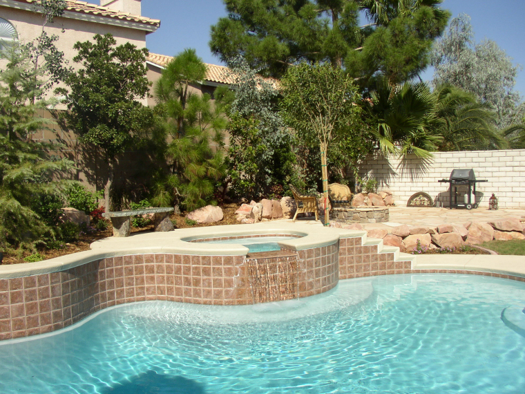 Modern xeriscape backyard